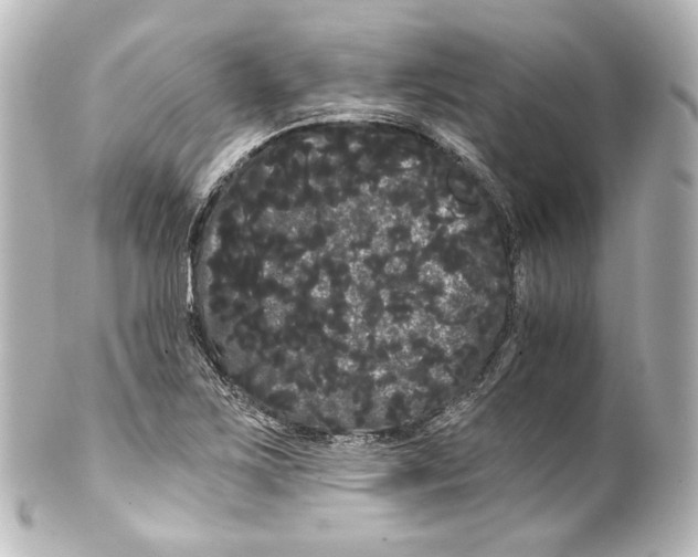 X0000100201267200806271634