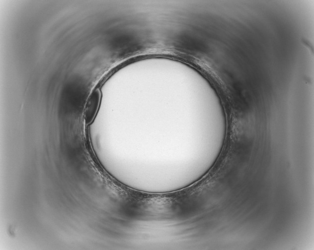 X0000100201268200806271634