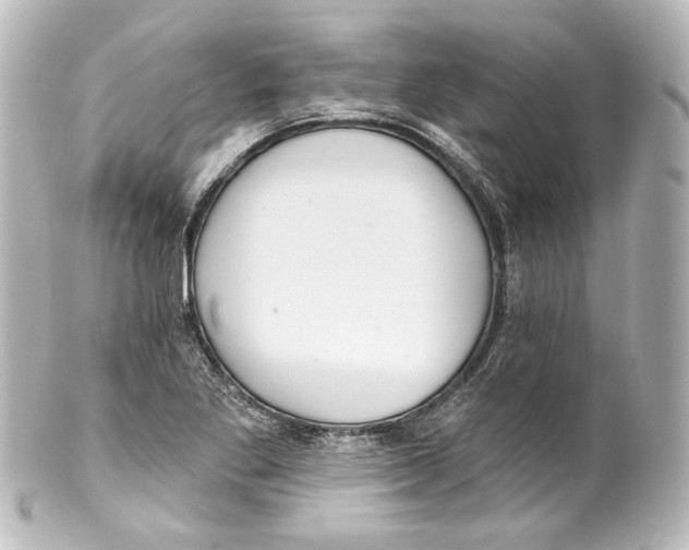 X0000100201269200806271634