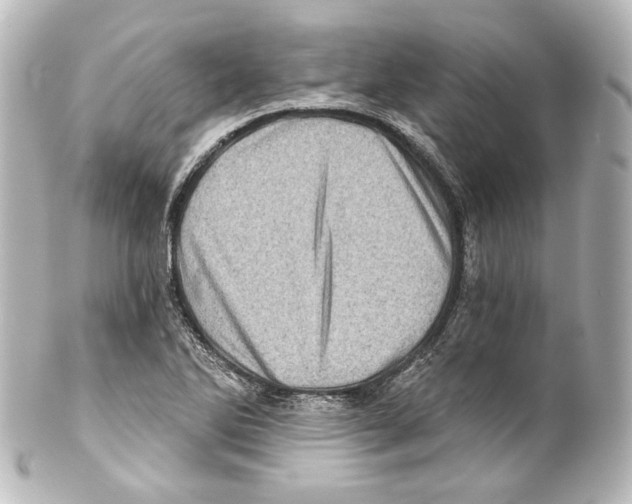 X0000100201270200806271634