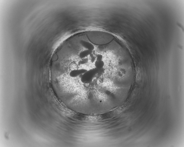 X0000100201271200806271634