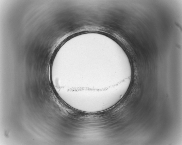 X0000100201272200806271634