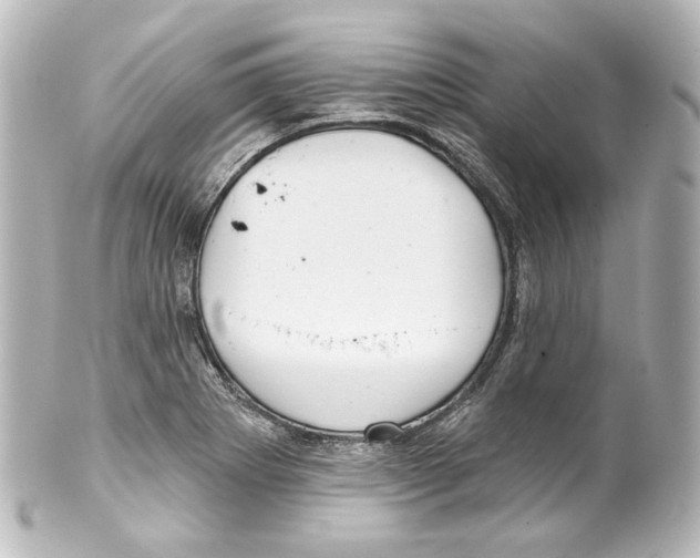 X0000100201273200806271634