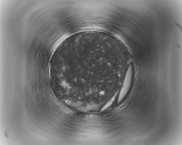 X0000100201275200806271634