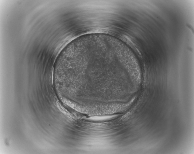 X0000100201276200806271634