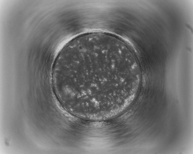 X0000100201279200806271634