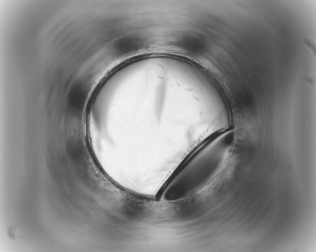 X0000100201280200806271634