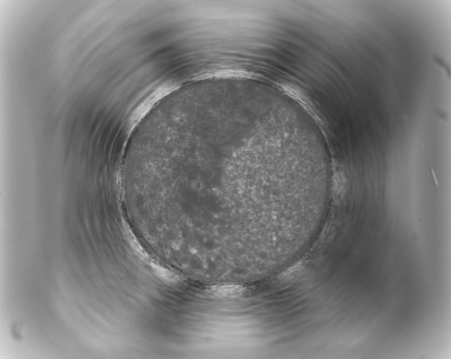 X0000100201282200806271633