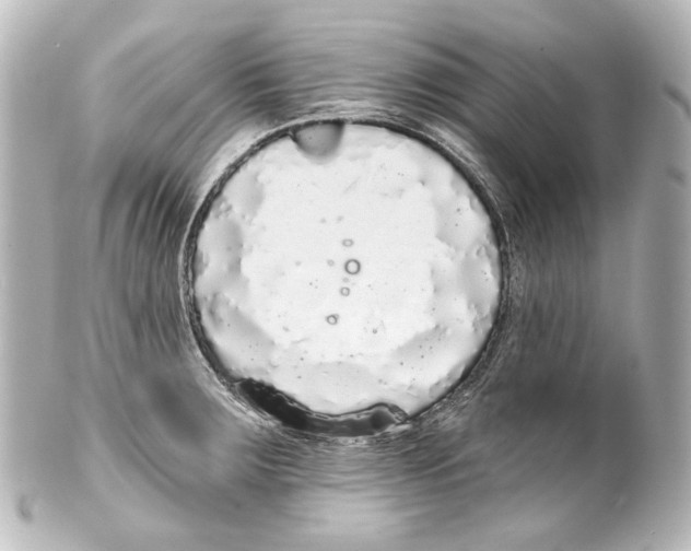 X0000100201283200806271633