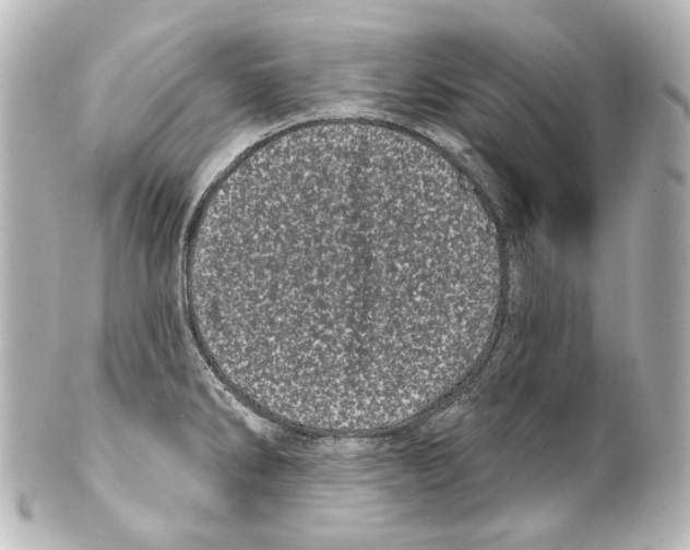 X0000100201286200806271633