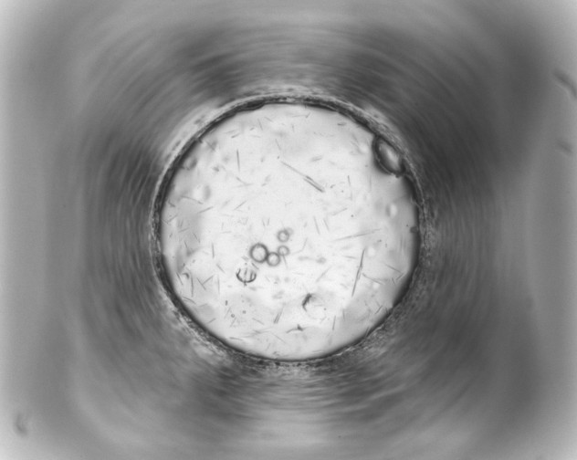 X0000100201287200806271633