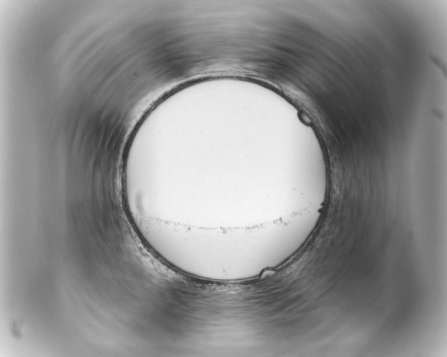 X0000100201288200806271633