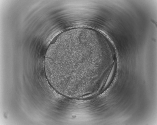 X0000100201289200806271633