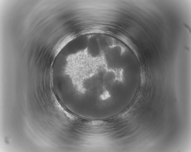 X0000100201290200806271633