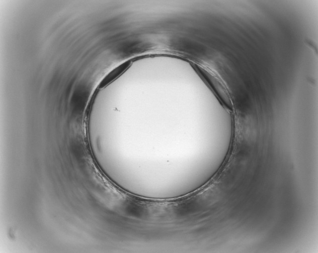 X0000100201292200806271633