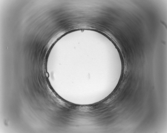 X0000100201293200806271633