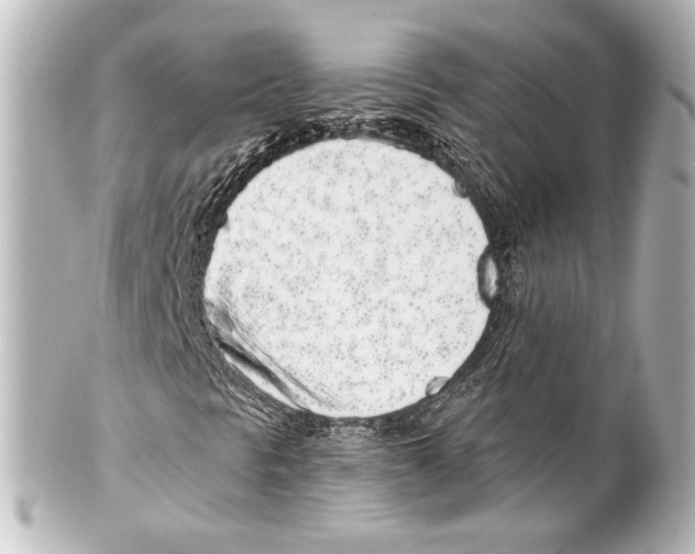 X0000100201297200806271632