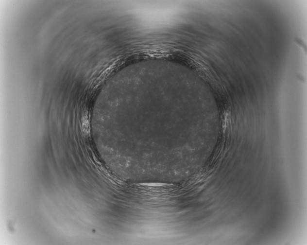 X0000100201298200806271632