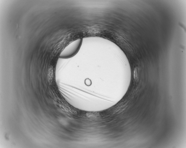 X0000100201299200806271632