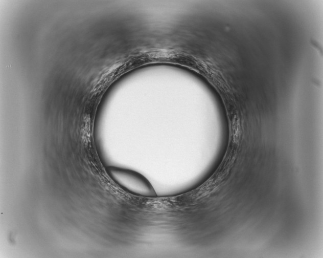 X0000100201301200806271633