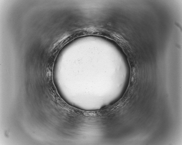 X0000100201302200806271633