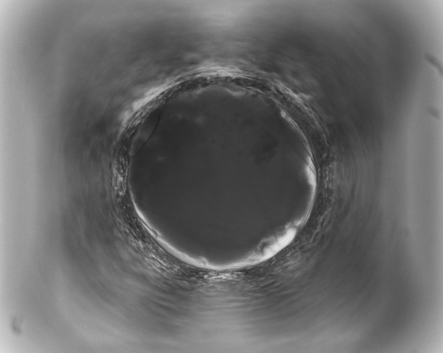 X0000100201303200806271633