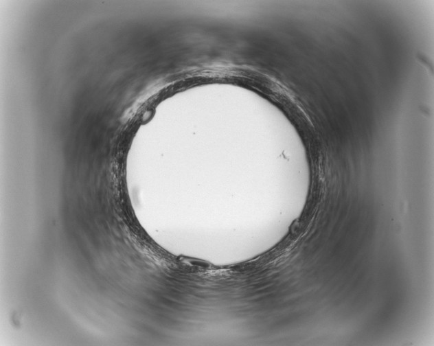 X0000100201304200806271633