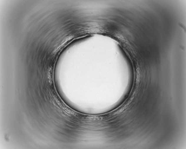 X0000100201305200806271633