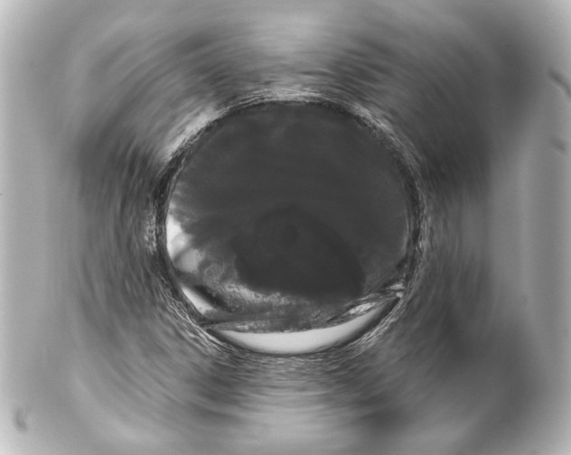 X0000100201306200806271633