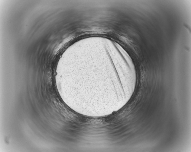 X0000100201307200806271633