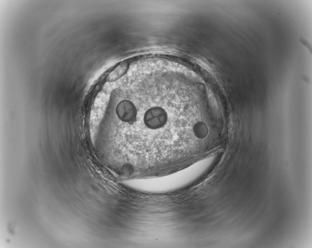 X0000100201310200806271633