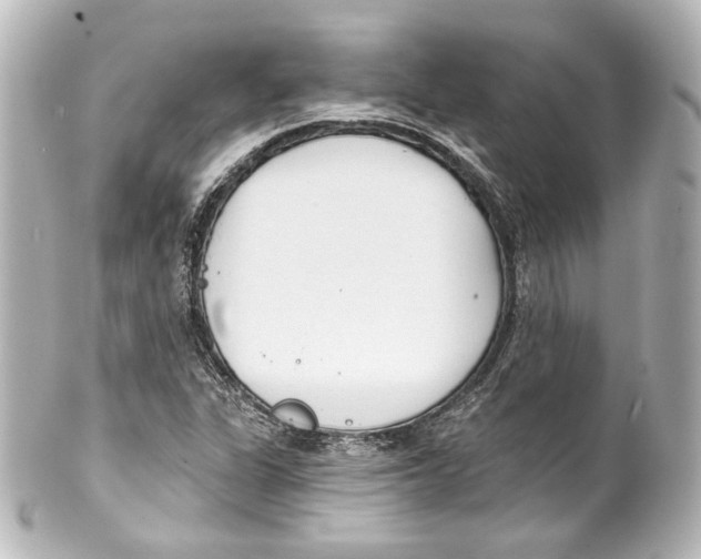 X0000100201311200806271633