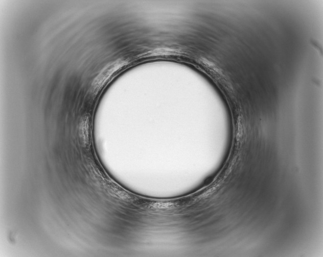 X0000100201313200806271633