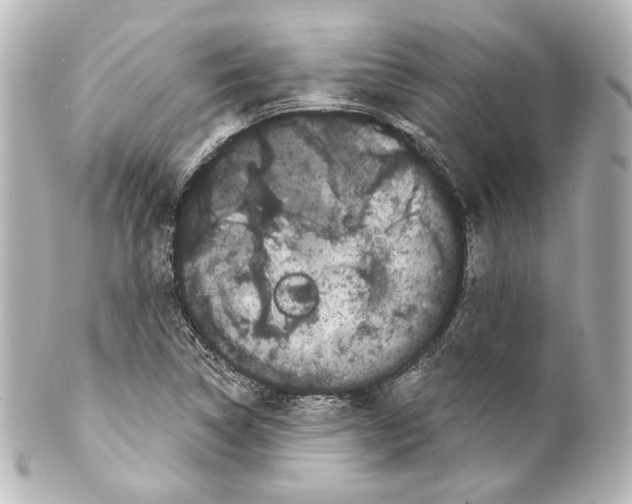 X0000100201314200806271633