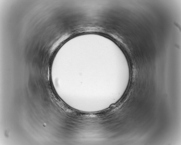 X0000100201317200806271633