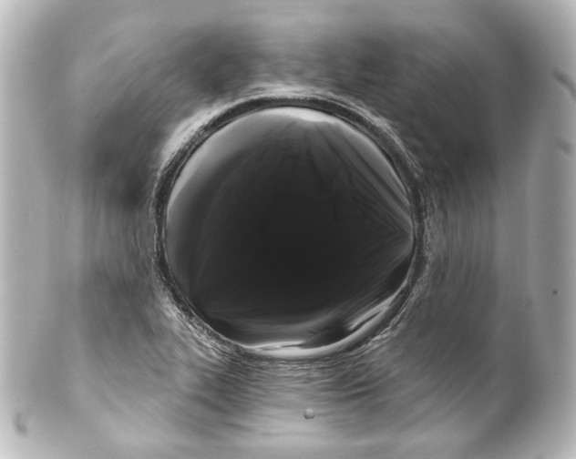 X0000100201319200806271633