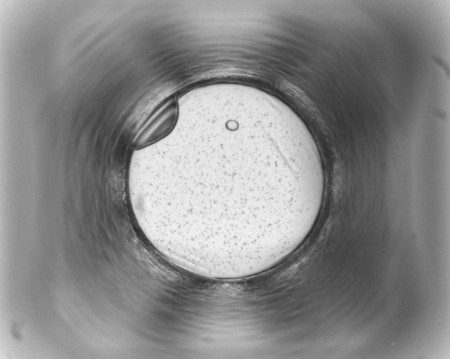 X0000100201321200806271633