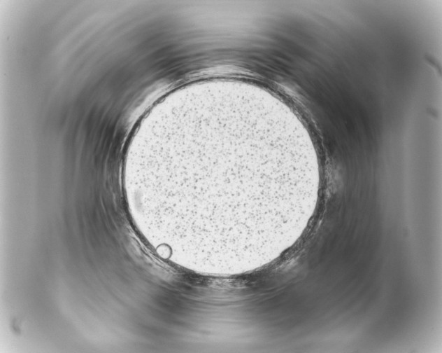 X0000100201322200806271633