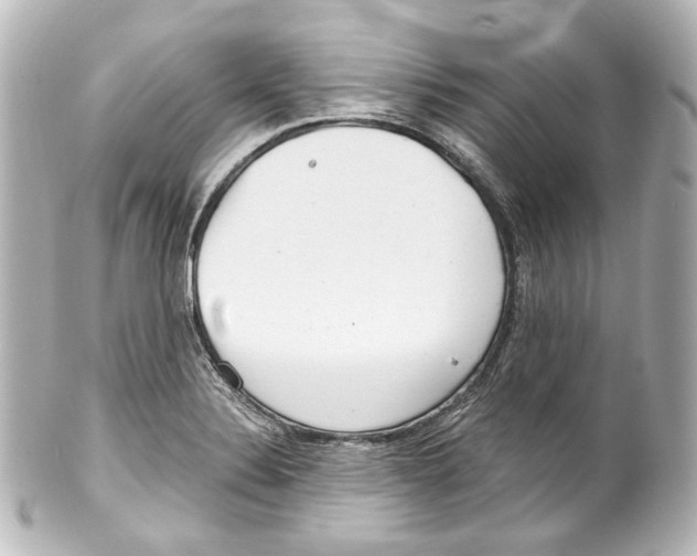 X0000100201324200806271633