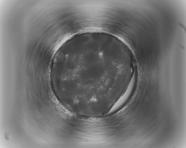 X0000100201325200806271633