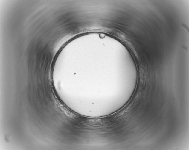 X0000100201328200806271633