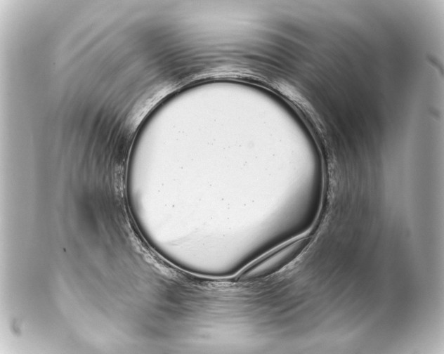 X0000100201329200806271633