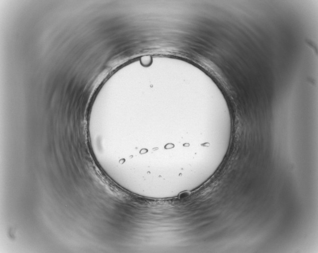 X0000100201332200806271633