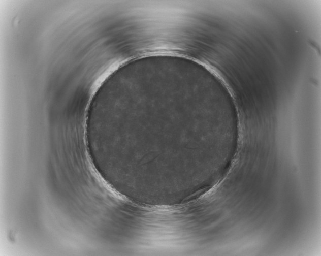 X0000100201333200806271633