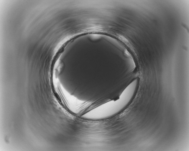 X0000100201334200806271633