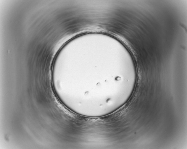 X0000100201335200806271633