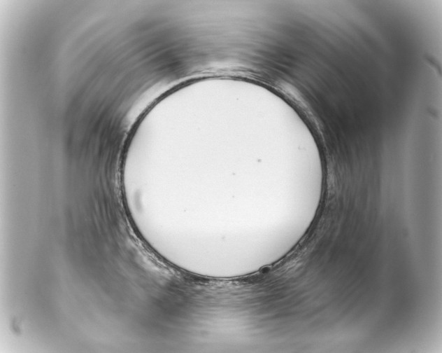 X0000100201336200806271633