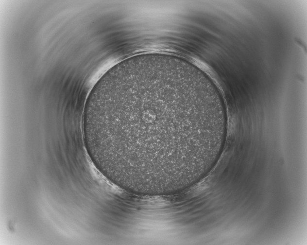 X0000100201338200806271633