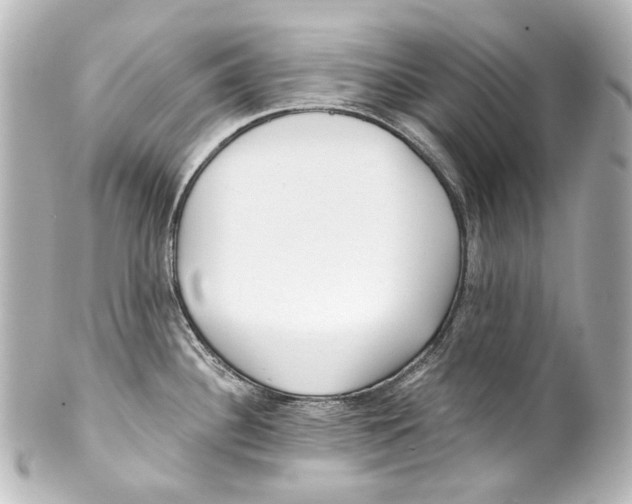 X0000100201340200806271633