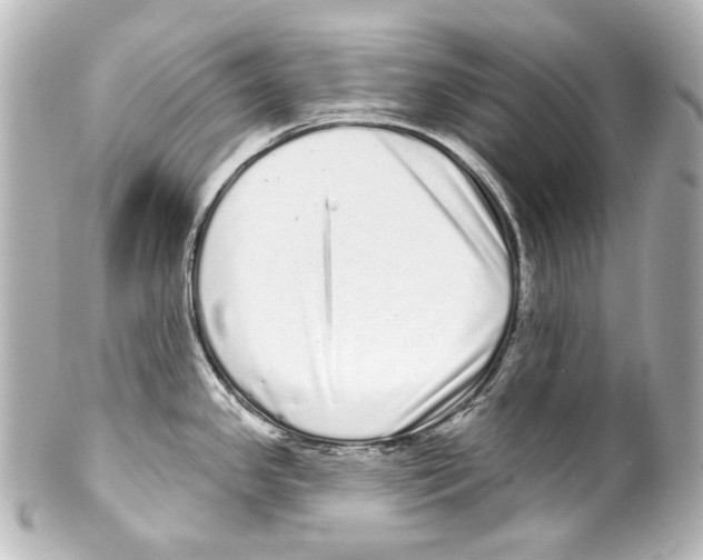 X0000100201341200806271633